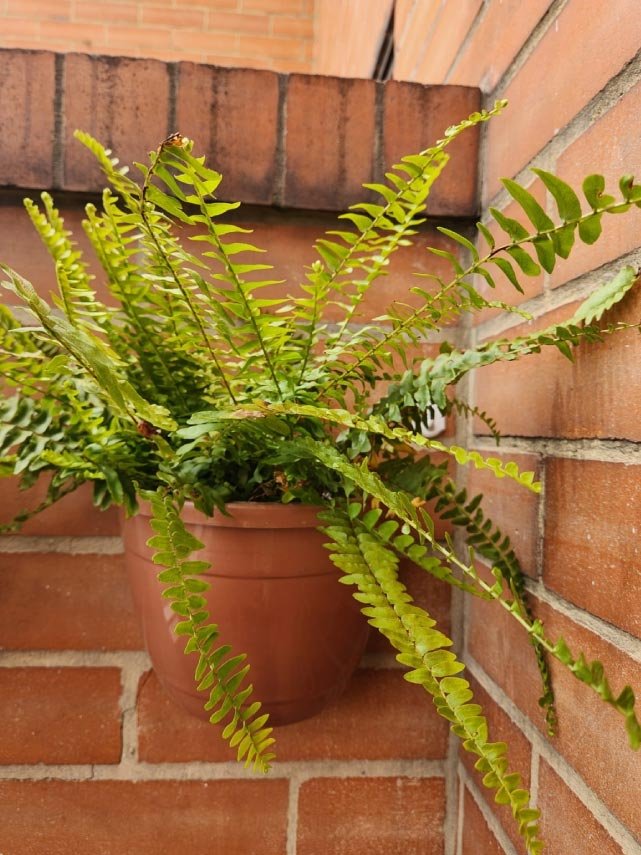 matera-media-luna-img-1