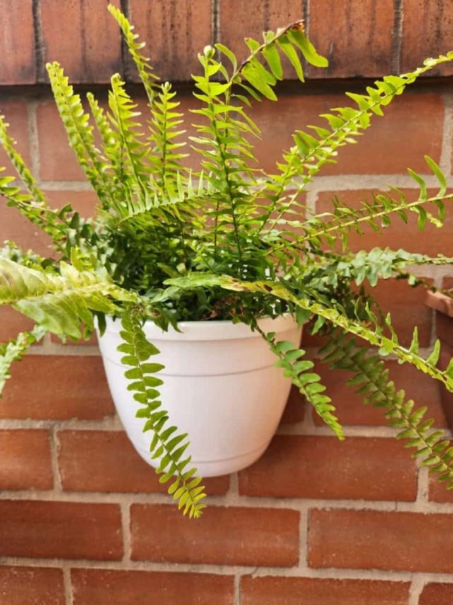 matera-media-luna-img-2